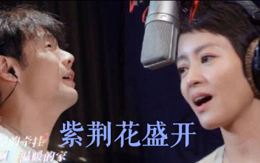 李荣浩/梁咏琪《紫荆花盛开》吉他谱 G调指法弹唱谱