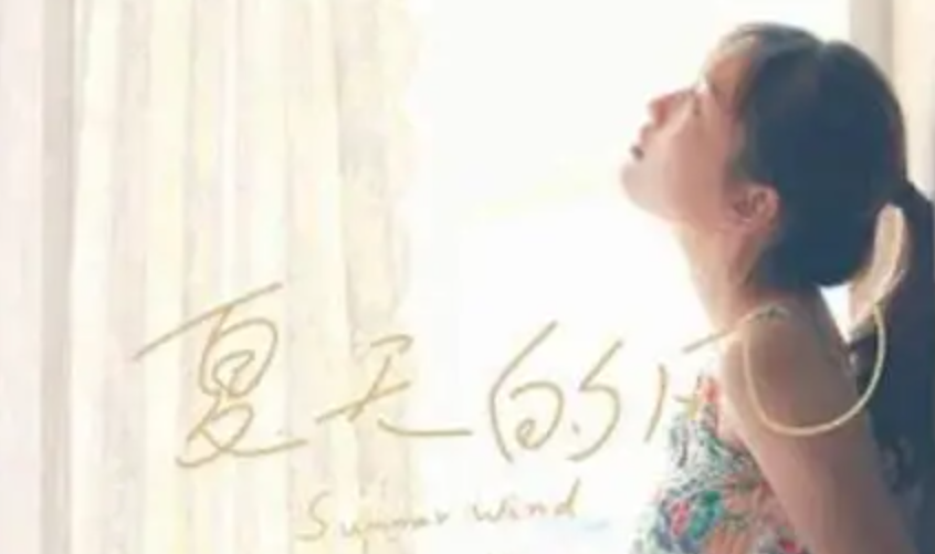 温岚《夏天的风》吉他谱 C调指法弹唱谱