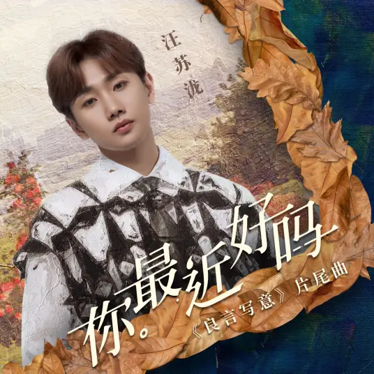 汪苏泷《你最近好吗》吉他谱 G调弹唱谱