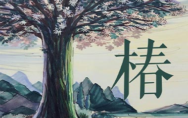 沈以诚《椿》吉他谱 C调弹唱谱