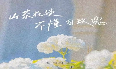 柯柯柯啊《山茶花读不懂白玫瑰》吉他谱 C调弹唱谱