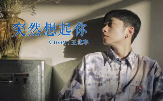 王北车《突然想起你》吉他谱 C调指法弹唱谱