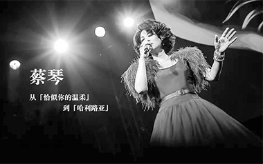 蔡琴《恰似你的温柔》吉他谱 C调指法弹唱谱
