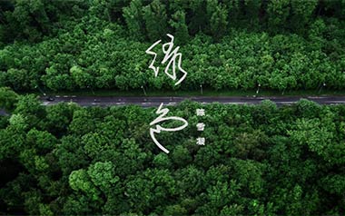 陈雪凝《绿色》吉他谱 C调指法弹唱谱
