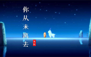 白挺《你从未离去》吉他谱 C调指法弹唱谱