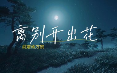 就是南方凯《离别开出花》吉他谱 G调弹唱谱