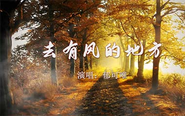 郁可唯《去有风的地方》吉他谱 G调指法弹唱谱