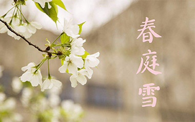 橙翼《春庭雪》吉他谱 C调指法弹唱谱