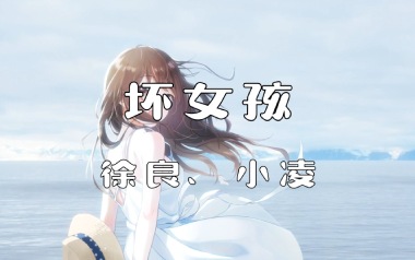 徐良《坏女孩》吉他谱 C调指法弹唱谱