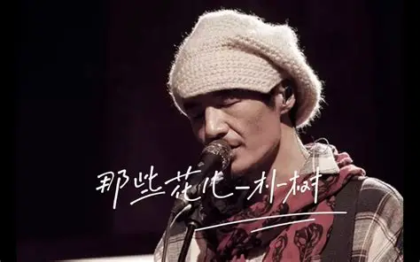 朴树《那些花儿》吉他谱 G调指法弹唱谱
