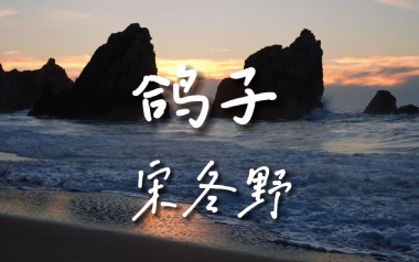宋冬野《鸽子》吉他谱 E调指法弹唱谱