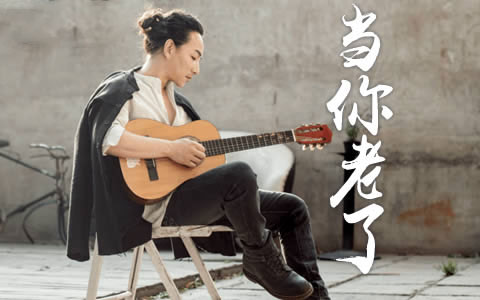 赵照《当你老了》吉他谱 C调指法弹唱谱