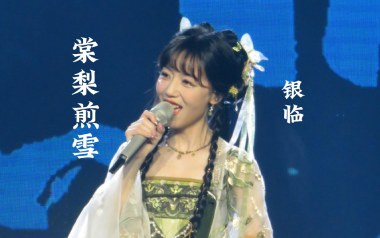 银临《棠梨煎雪》吉他谱 C调指法弹唱谱