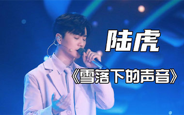 陆虎《雪落下的声音》吉他谱 C调简单版弹唱谱