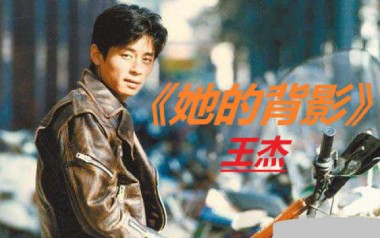 王杰《她的背影》吉他谱 G调指法弹唱谱