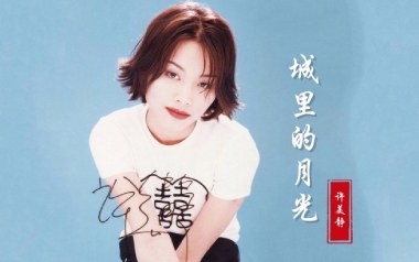 许美静《城里的月光》吉他谱 G调指法弹唱谱