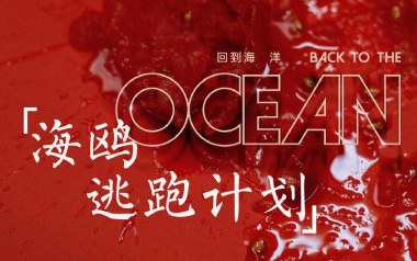 逃跑计划《海鸥》吉他谱 G调指法弹唱谱