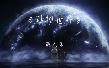 薛之谦《动物世界》吉他谱 C调指法弹唱谱