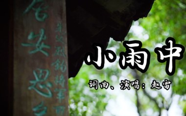 赵雷《小雨中》吉他谱 C调指法弹唱谱